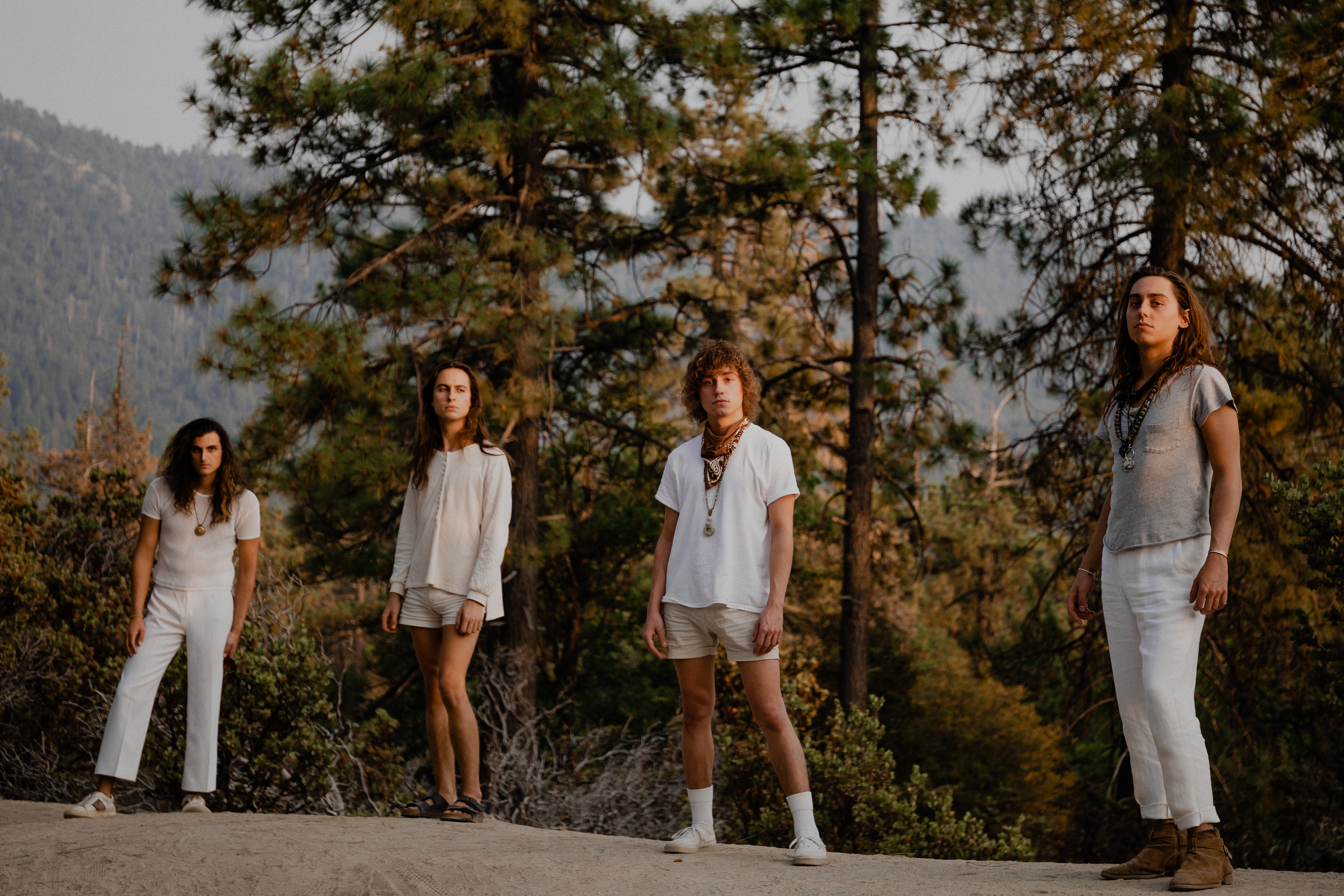 Greta Van Fleet